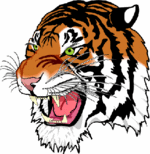 Atiger.gif 320 320 256 9223372036854775000 0 1 0[1]